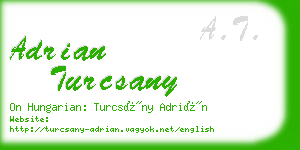 adrian turcsany business card